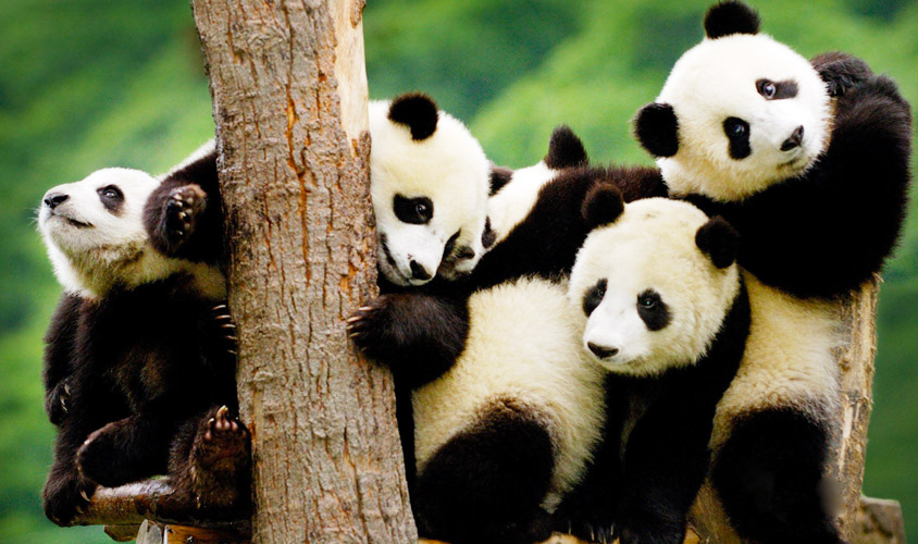 hunan
